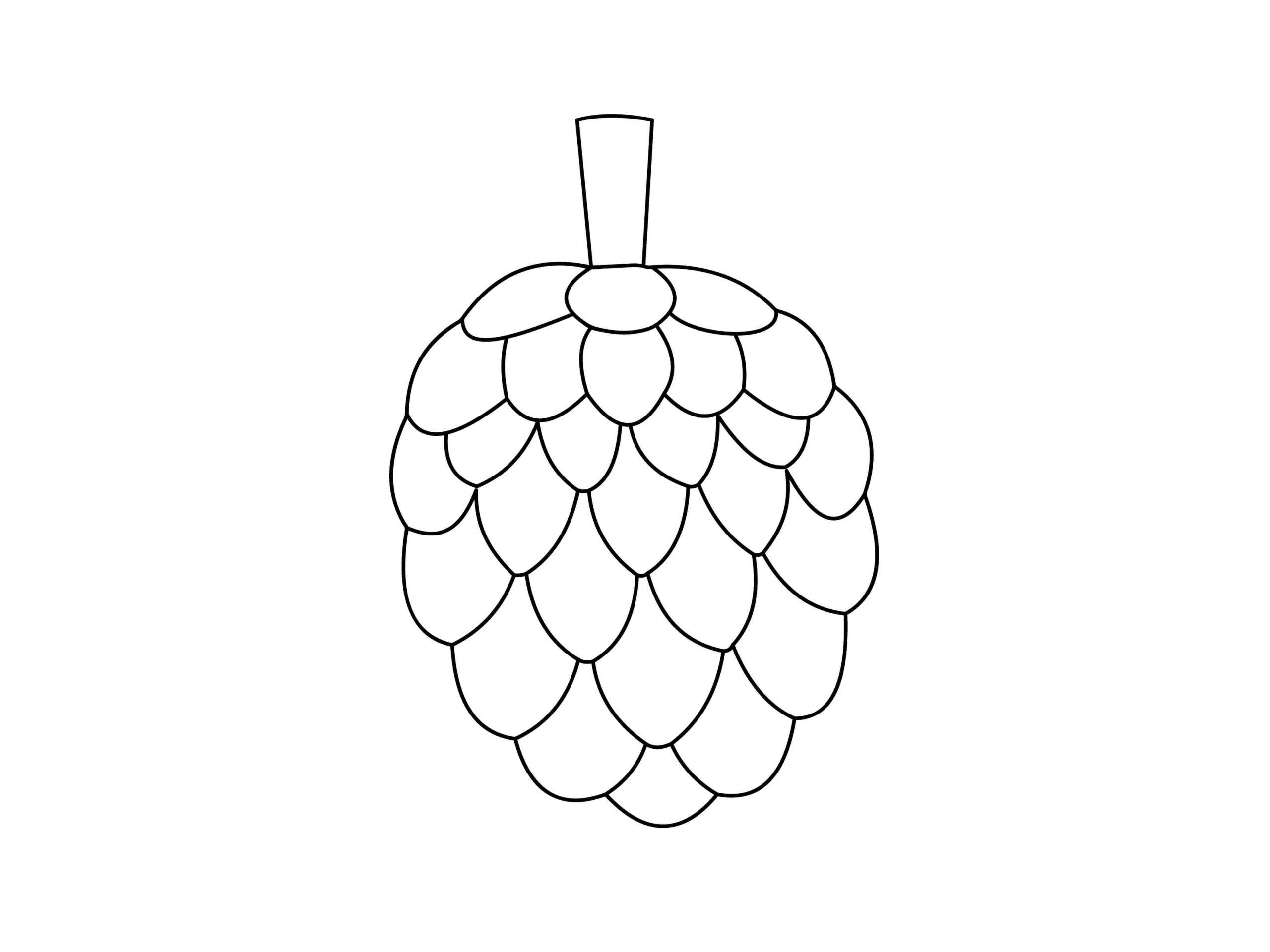 Dibujo de Gran Chirimoya Scaled para Colorear