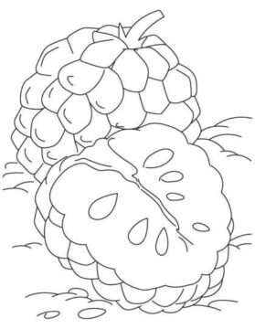 Dibujo de Una Chirimoya y Media Chirimoya para Colorear