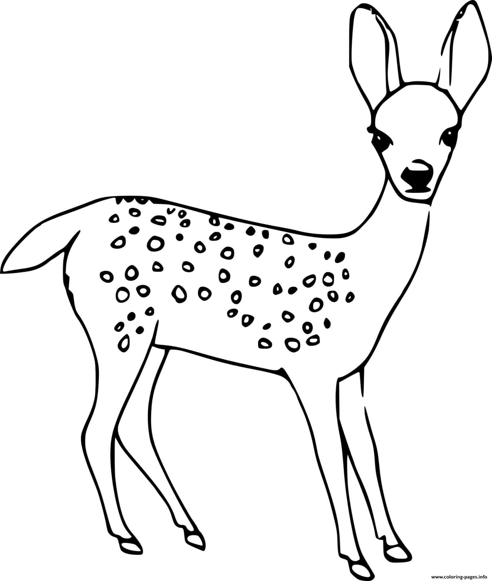 Dibujo de Ciervo Adorable para Colorear