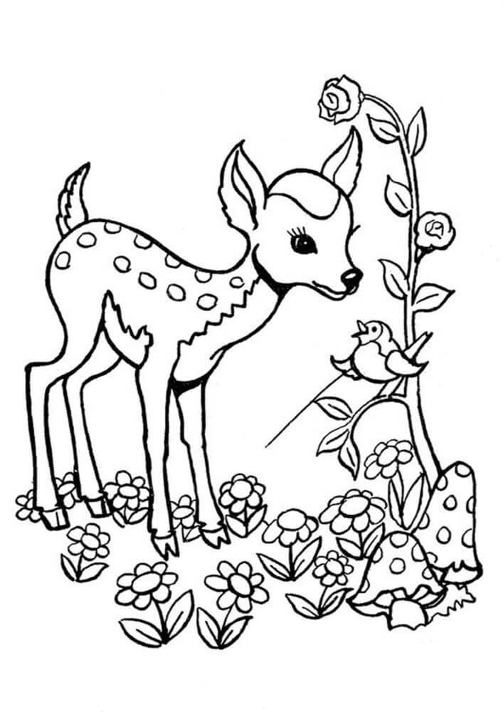 Dibujo de Ciervo y Flor Pjaro para Colorear