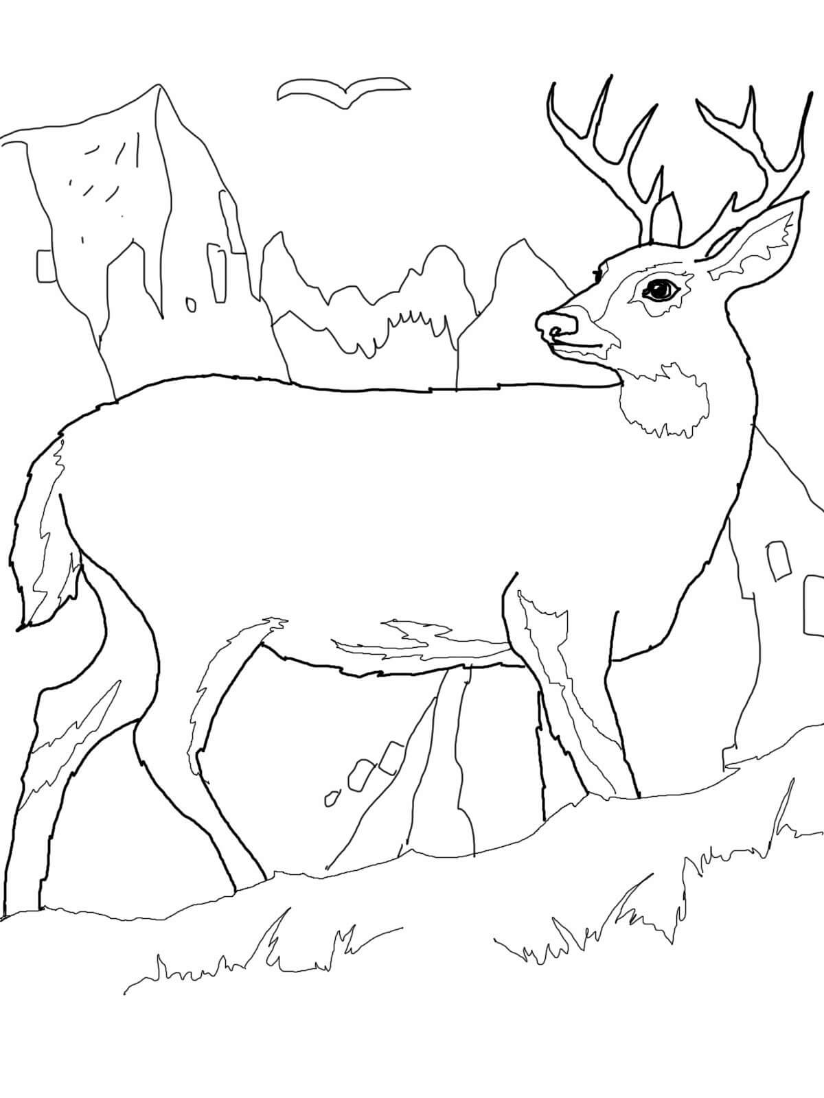 Dibujo de Ciervos Caminando para Colorear