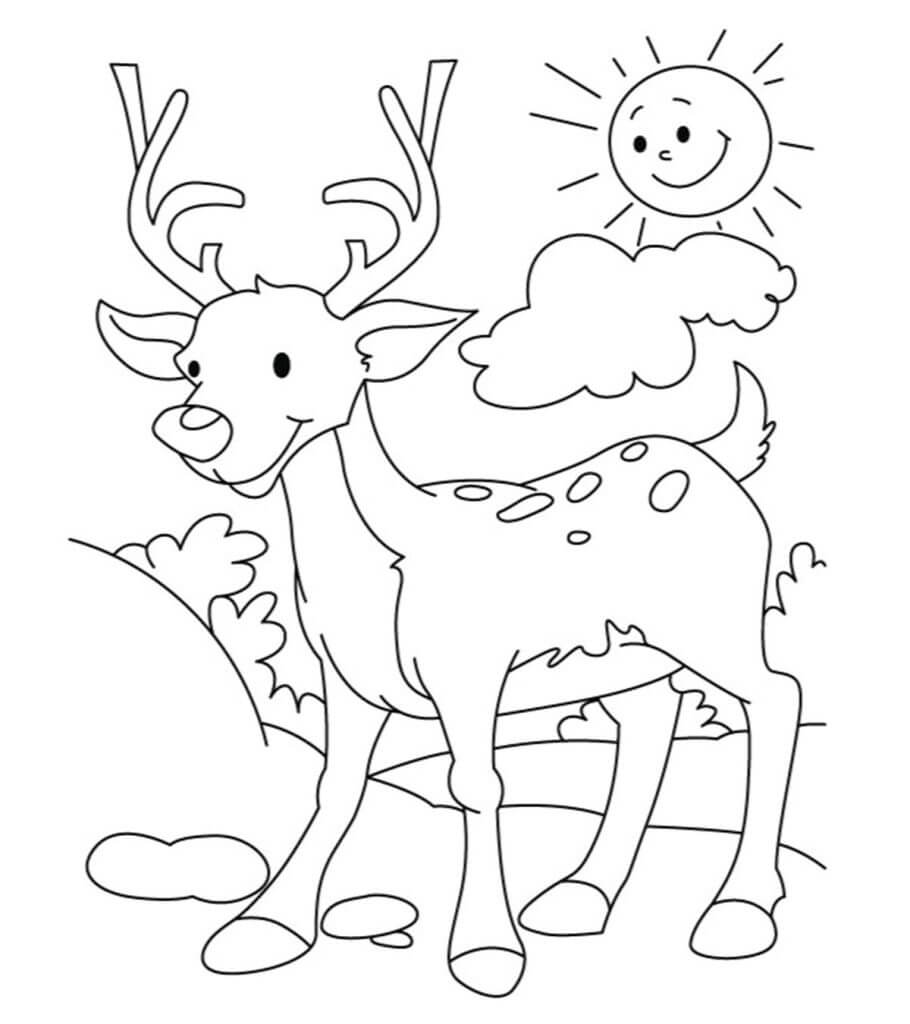 Dibujo de Ciervos de Dibujos Animados para Colorear