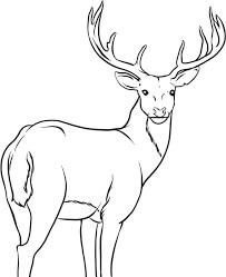 Dibujo de Gran Ciervo para Colorear