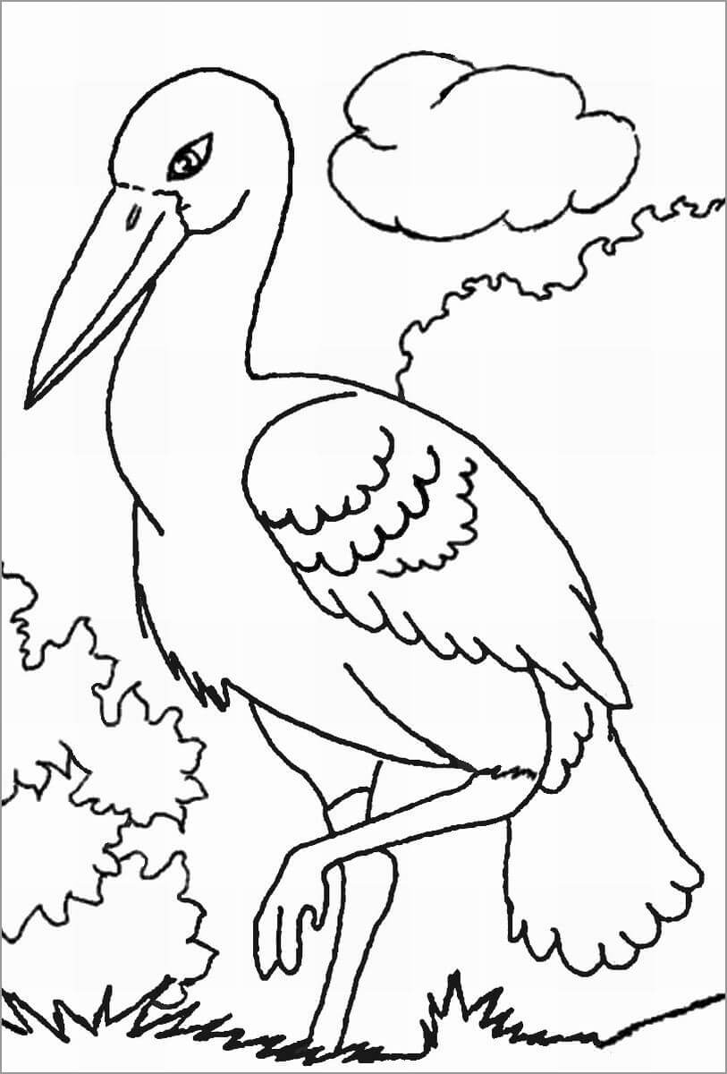 Dibujo de Cigea Fresca para Colorear