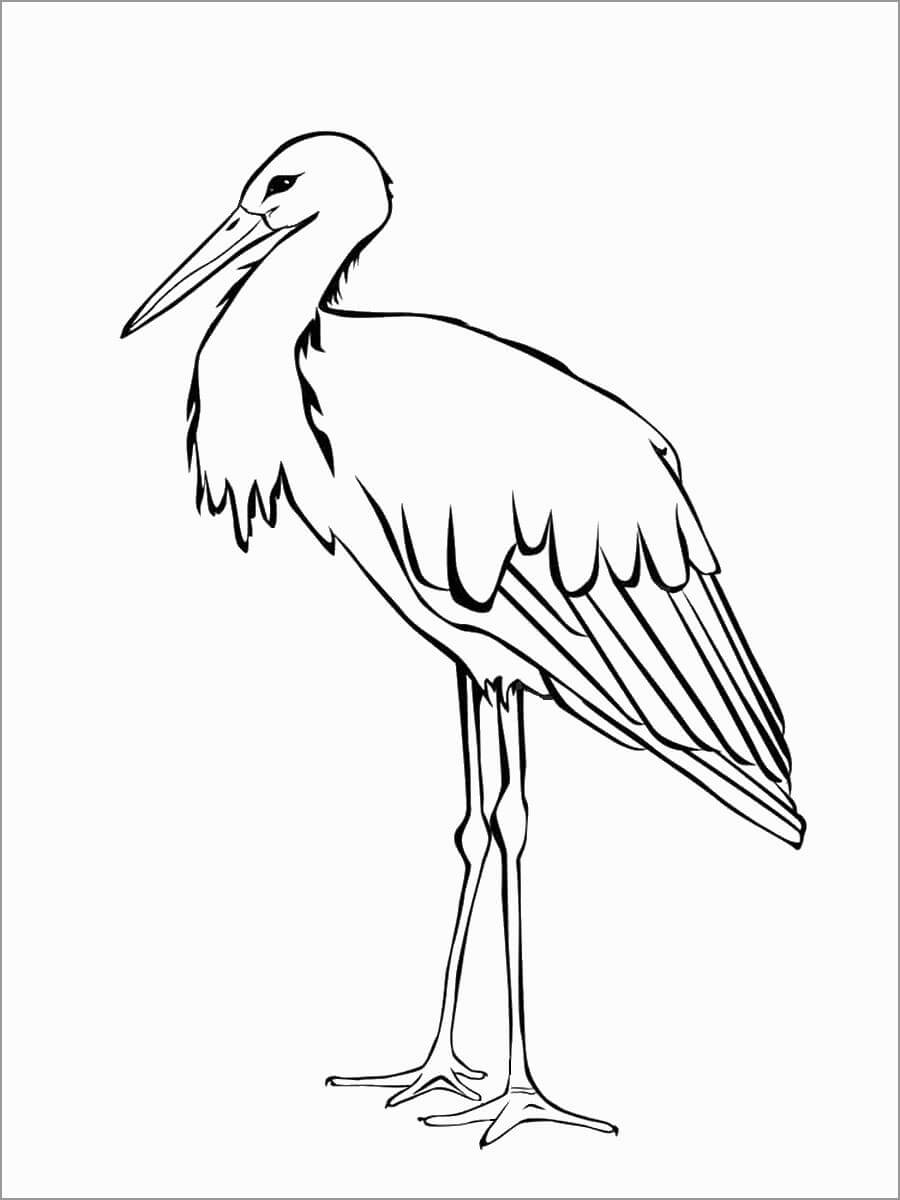 Dibujo de Cigea Impresionante para Colorear