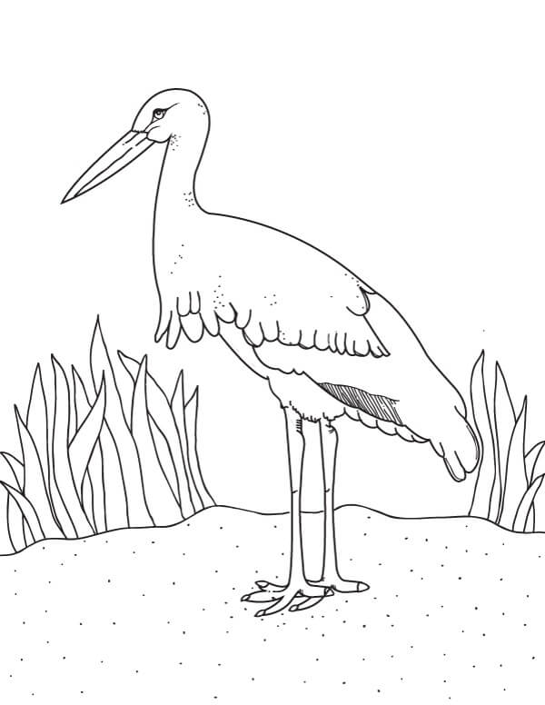 Dibujo de Cigea Sencilla para Colorear