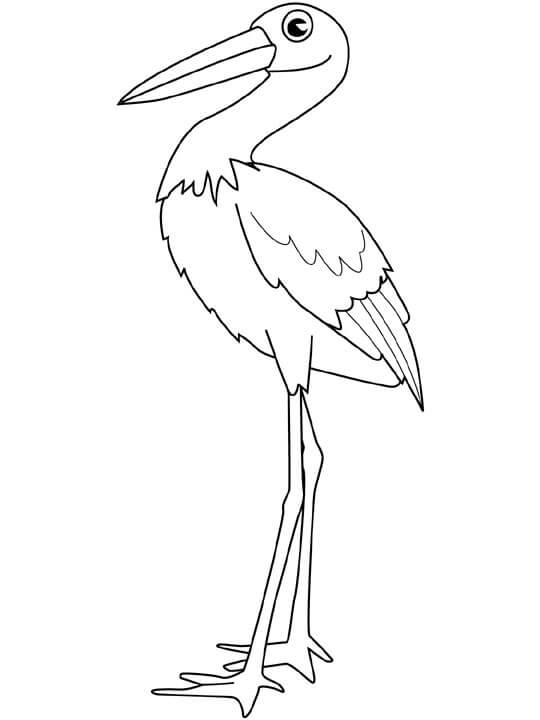 Dibujo de Cigeas Bsicas 1 para Colorear