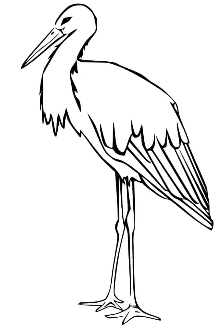 Dibujo de Gran Cigea 1 para Colorear
