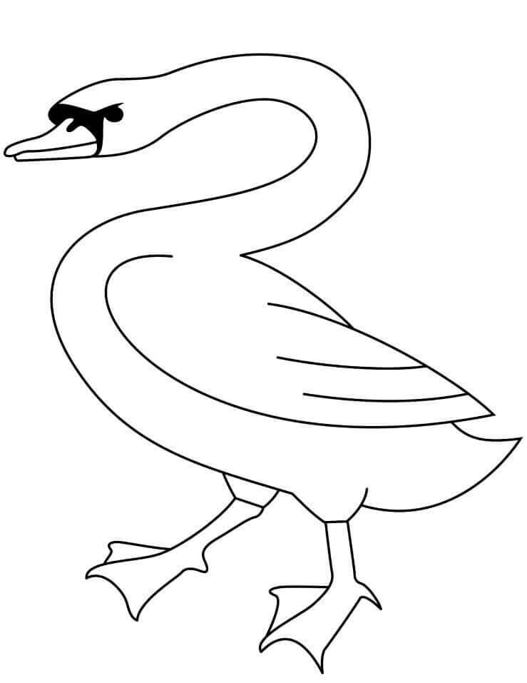 Dibujo de Cisne Caminando para Colorear