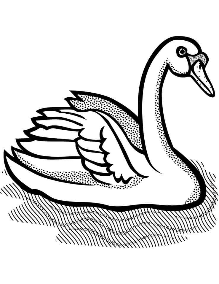Dibujo de Cisne Mudo para Colorear