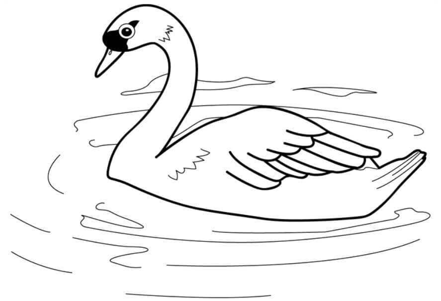 Dibujo de Cisne Natacin para Colorear
