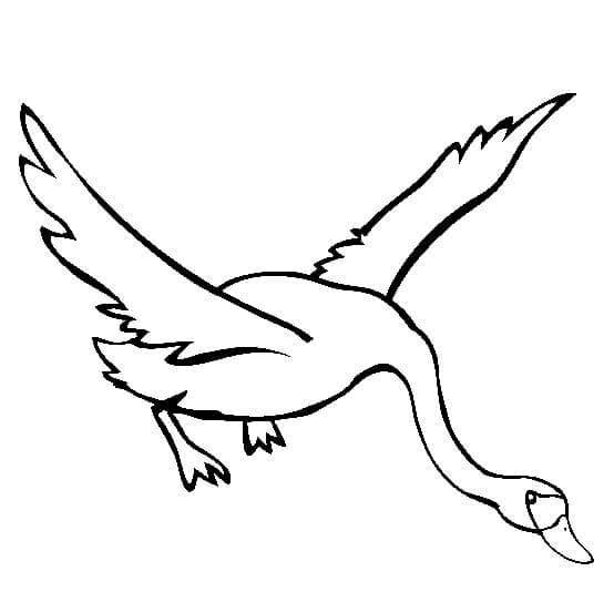Dibujo de Cisne Volando para Colorear