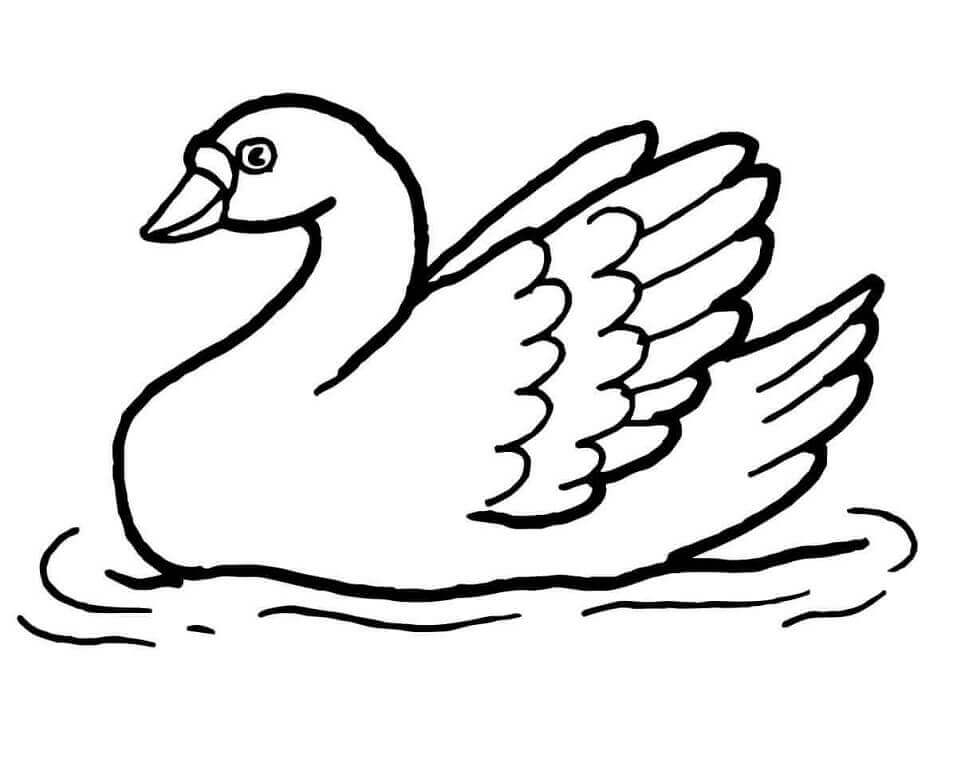 Dibujo de Cisne en el Agua para Colorear