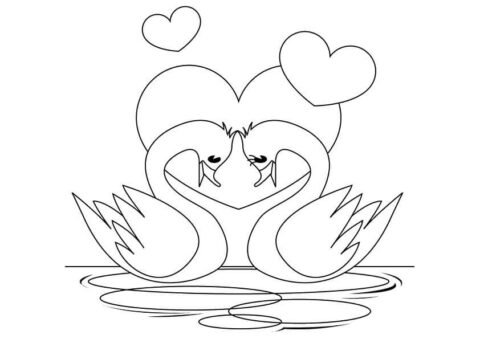 Dibujo de Pareja de Cisnes para Colorear