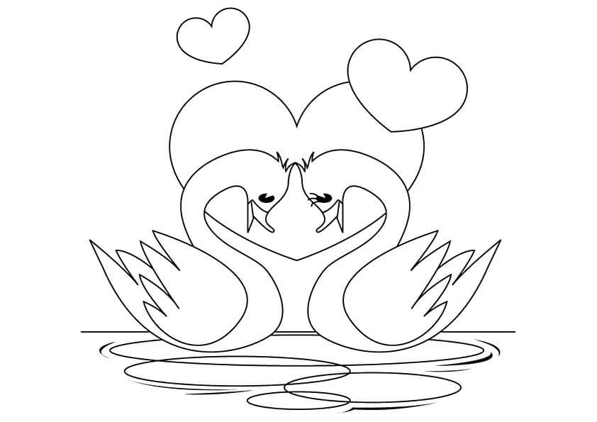 Dibujo de Pareja de Cisnes para Colorear