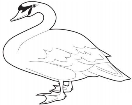 Dibujo de Un Cisne Mudo para Colorear