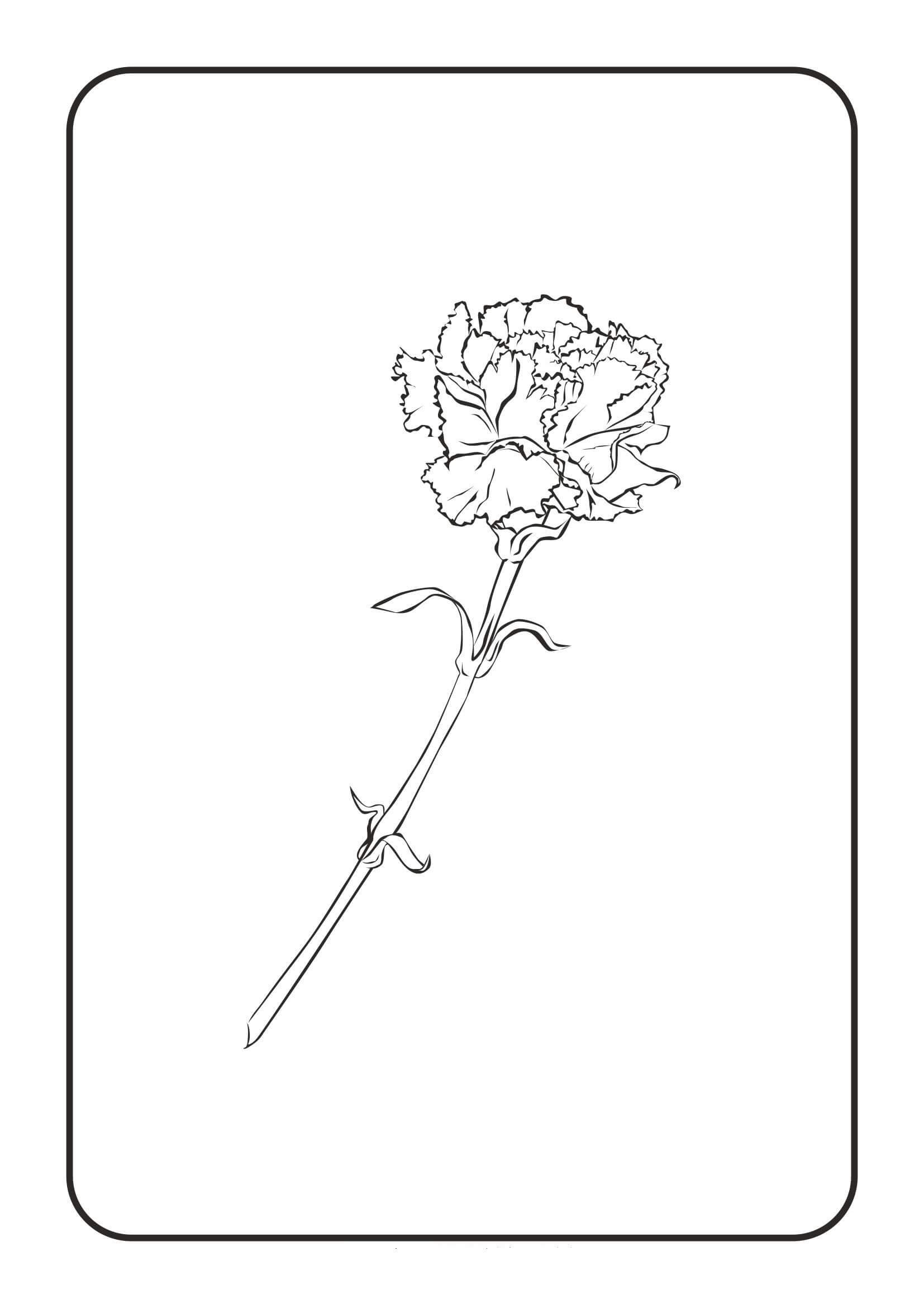 Dibujo de Clavel Kawaii para Colorear