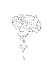 Dibujo de Hermoso Clavel para Colorear