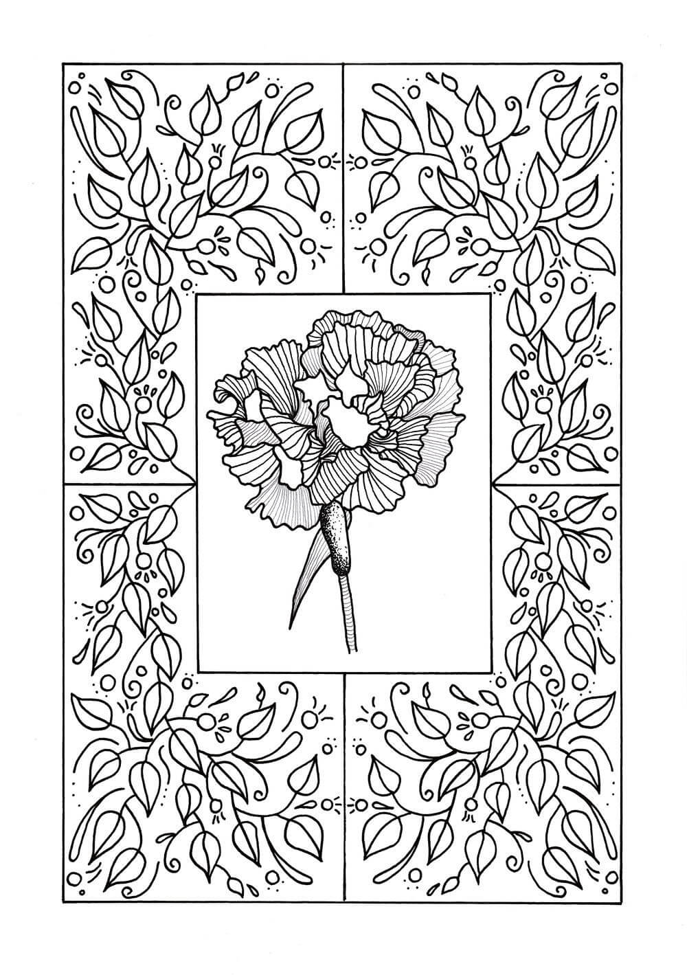 Dibujo de Mandala de Clavel para Colorear