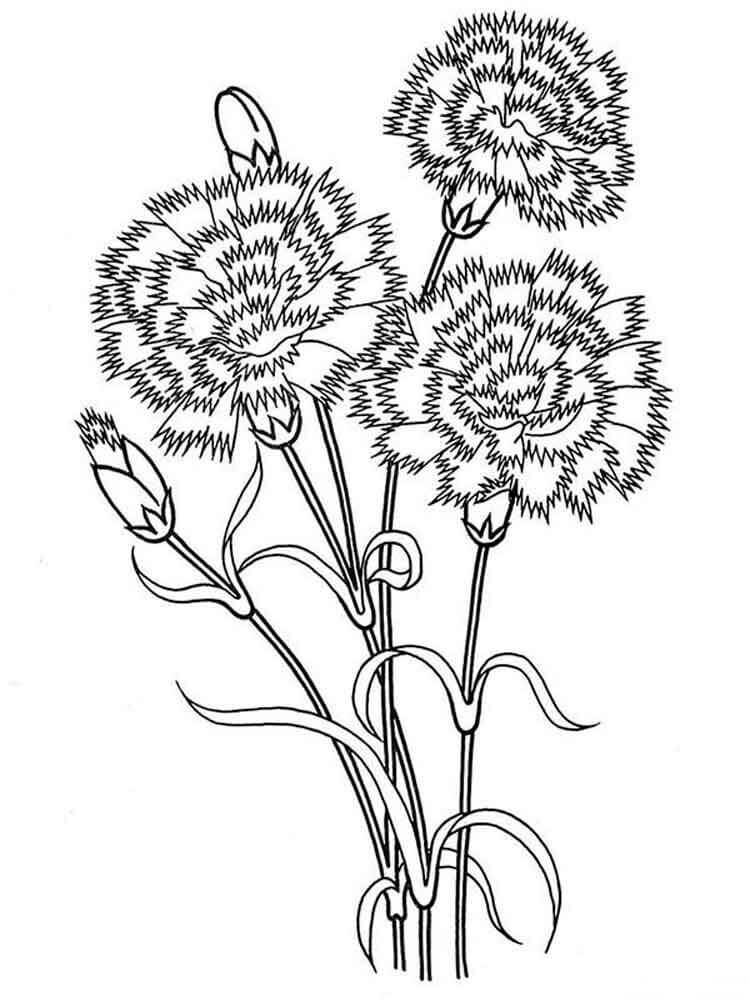 Dibujo de Tres Clavel para Colorear