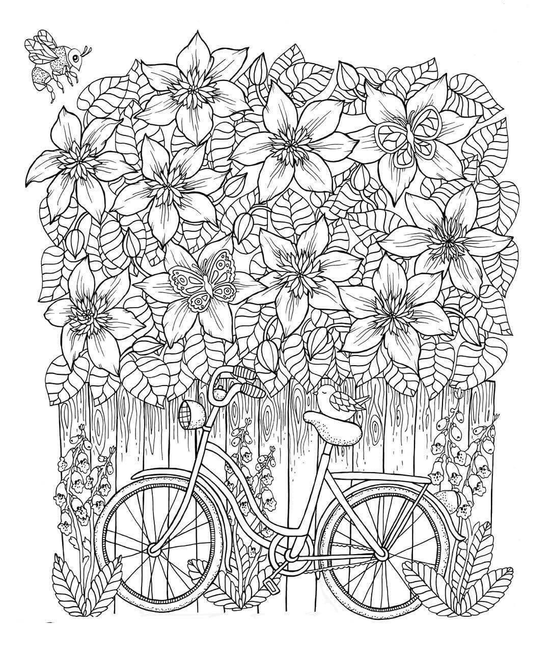 Dibujo de Clematis y Bicicleta para Colorear