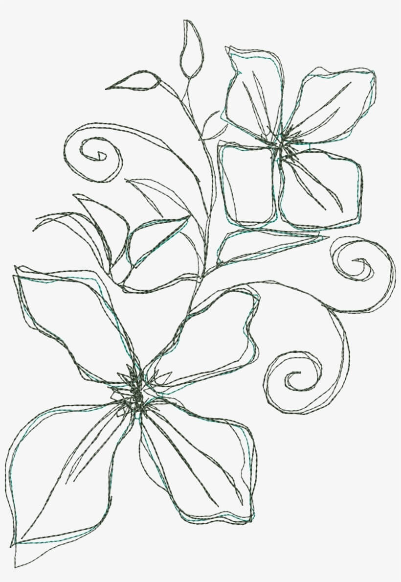 Dibujo de Clematis para Colorear