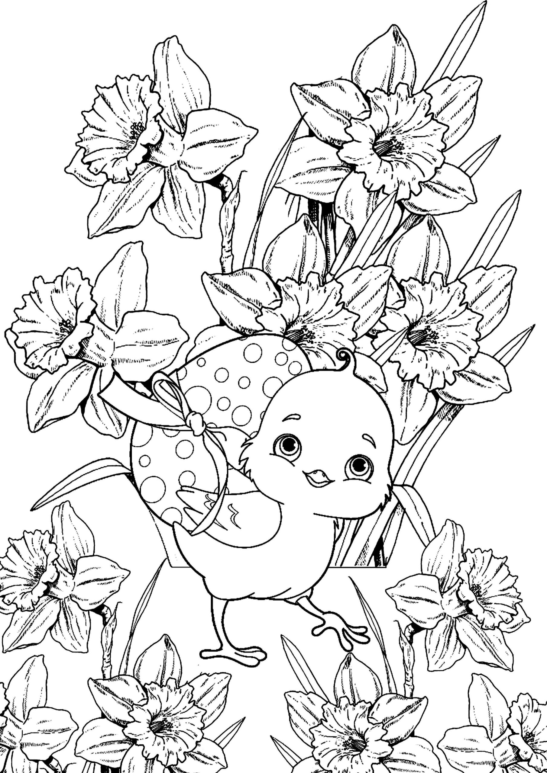 Dibujo de Pjaro con Clematis Scaled para Colorear