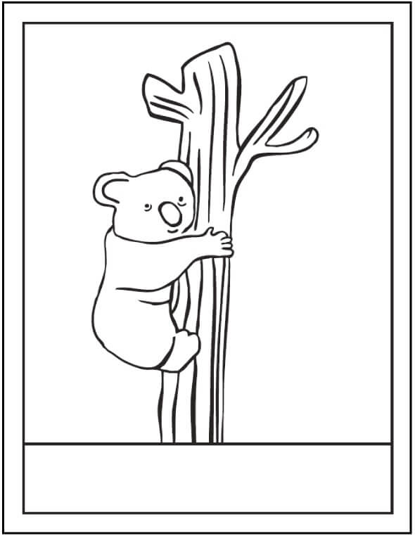 Dibujo de Árbol Trepador de Koalas para Colorear