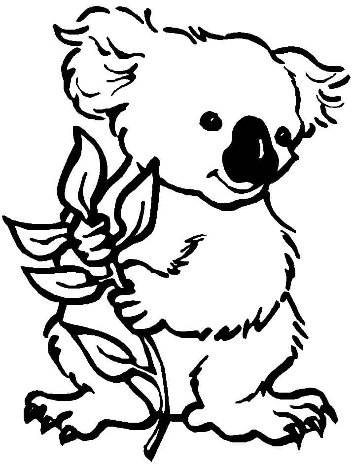 Dibujo de Bebé Koala para Colorear