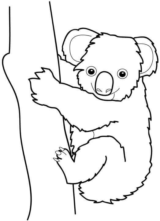 Dibujo de Buen Koala con árbol para Colorear