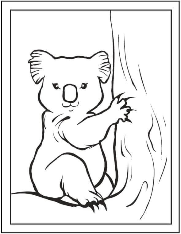 Dibujo de Gran Koala para Colorear