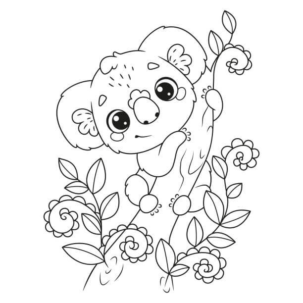 Dibujo de Koala con Flor para Colorear