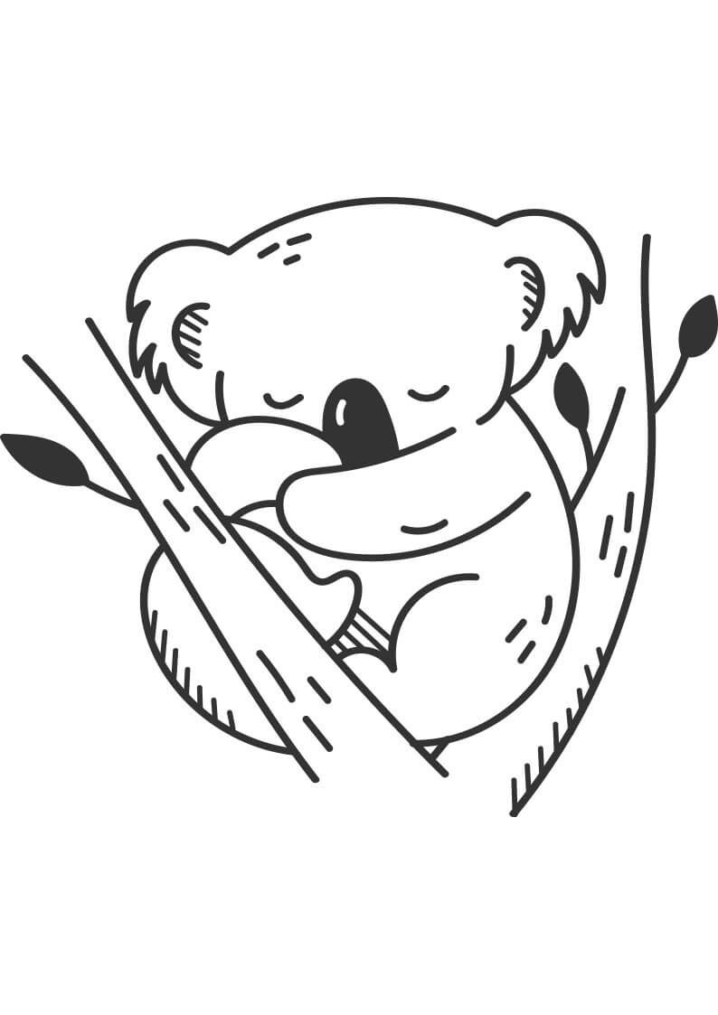 Dibujo de Koala Durmiendo para Colorear