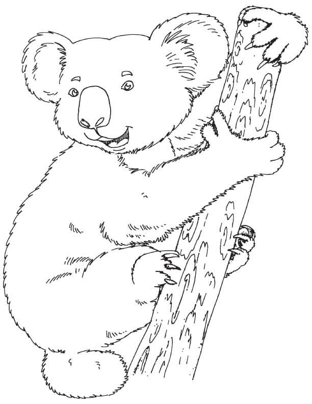 Dibujo de Koala Normal para Colorear
