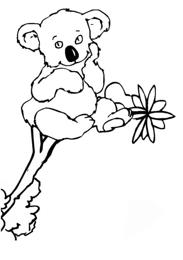 Dibujo de Koala Sentado en el árbol para Colorear