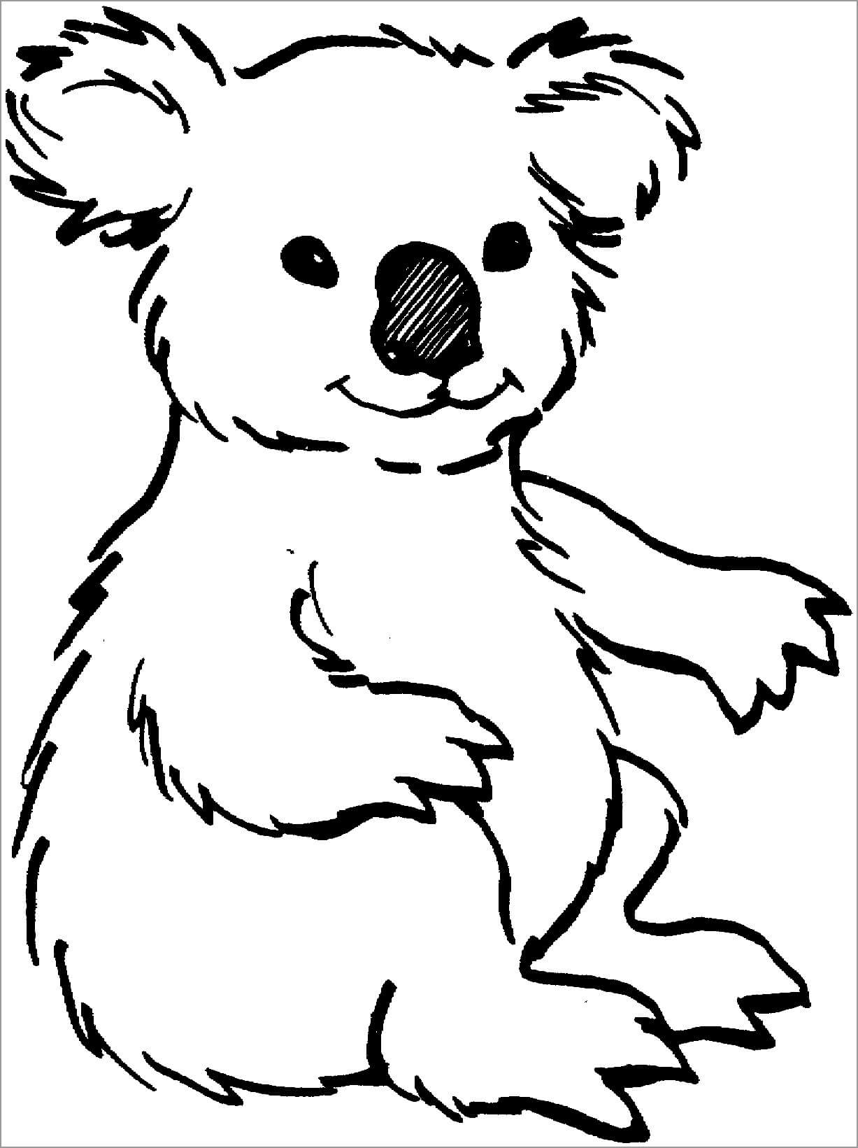 Dibujo de Koala Sentado para Colorear