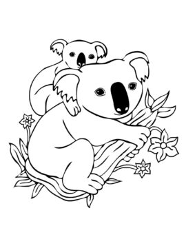 Dibujo de Madre Koala con bebé Koala en Rama árbol para Colorear