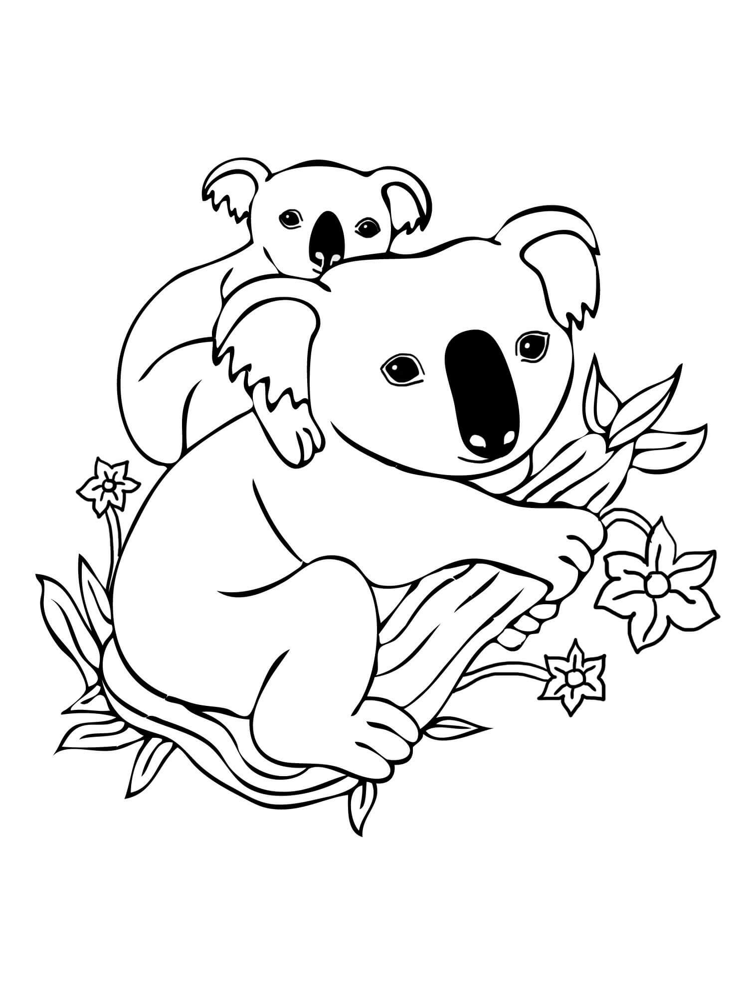 Dibujo de Madre Koala con bebé Koala en Rama árbol para Colorear