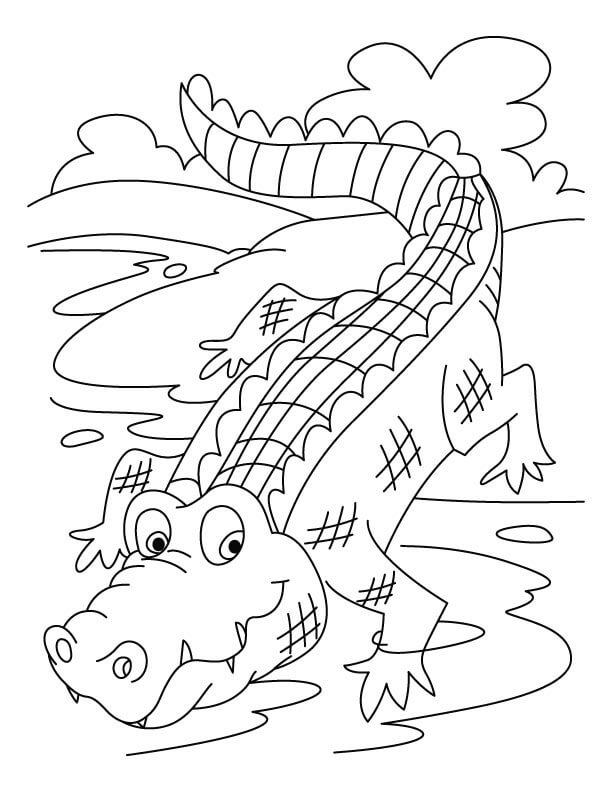 Dibujo de Cocodrilo Divertido para Colorear