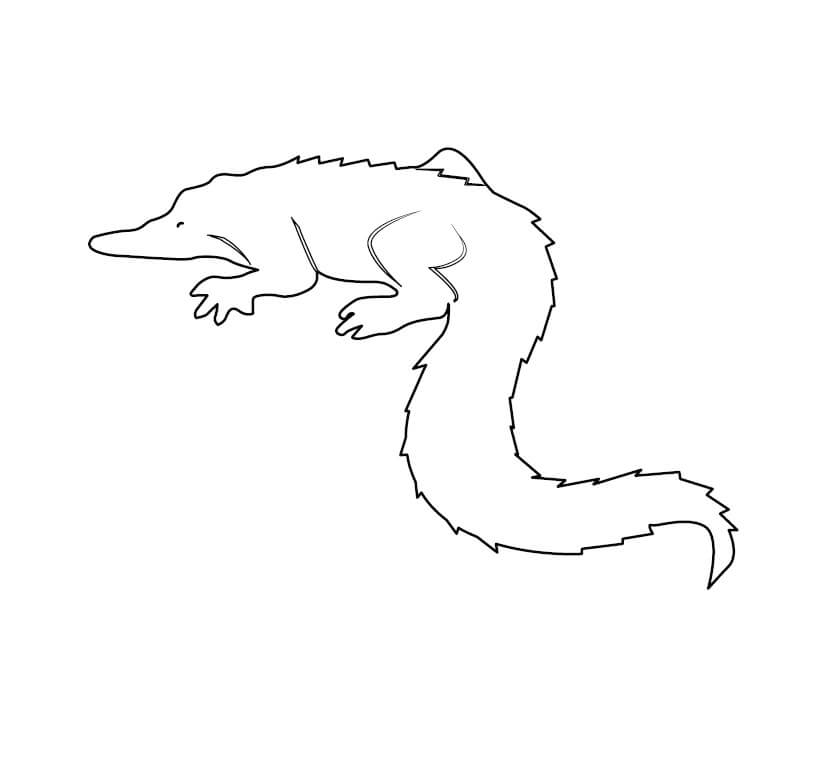 Dibujo de Cocodrilo fácil para Colorear