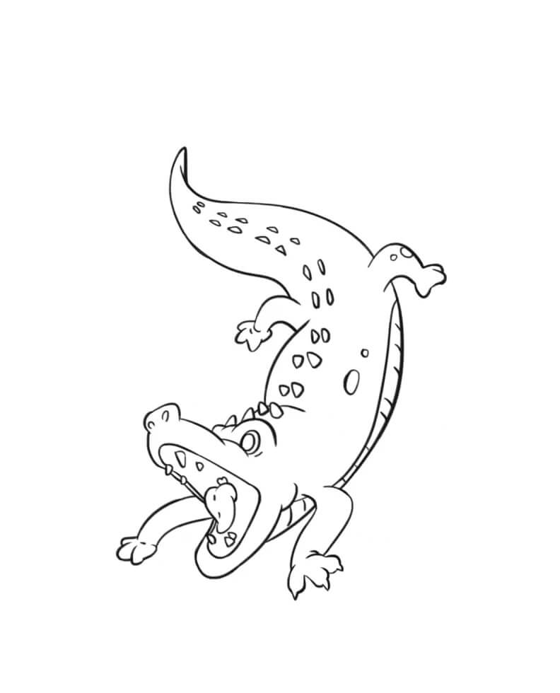 Dibujo de Cocodrilo Libre para Colorear