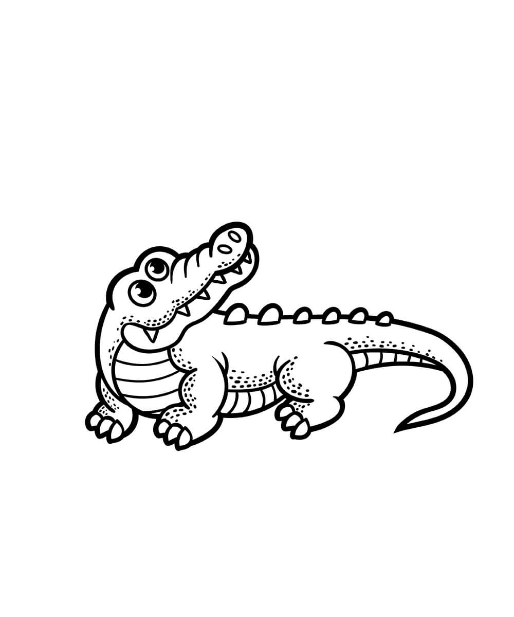 Dibujo de Cocodrilo Perfecto para Colorear