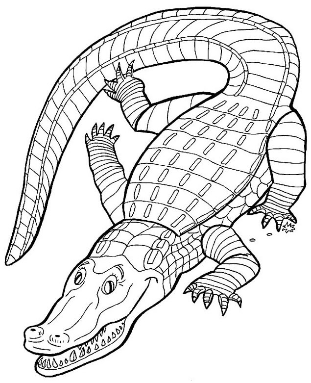Dibujo de Cocodrilo Sencillo para Colorear