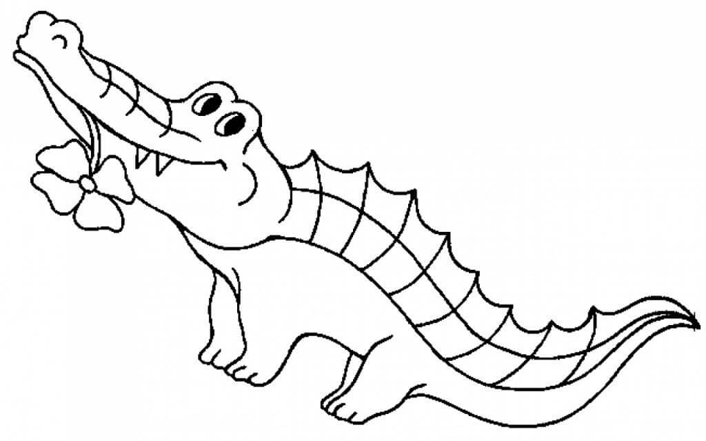Dibujo de Cocodrilo con Trebol de Cuatro Hojas para Colorear