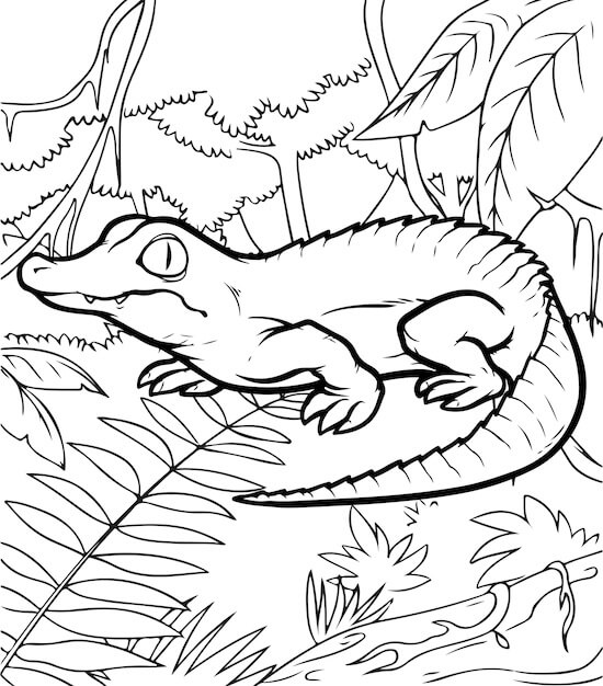 Dibujo de Cocodrilo en el Bosque para Colorear
