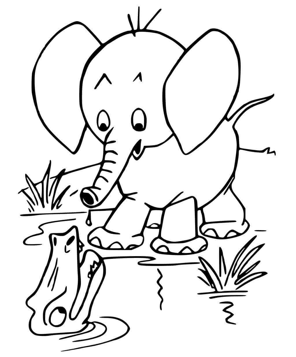 Dibujo de Cocodrilo y Elefante para Colorear