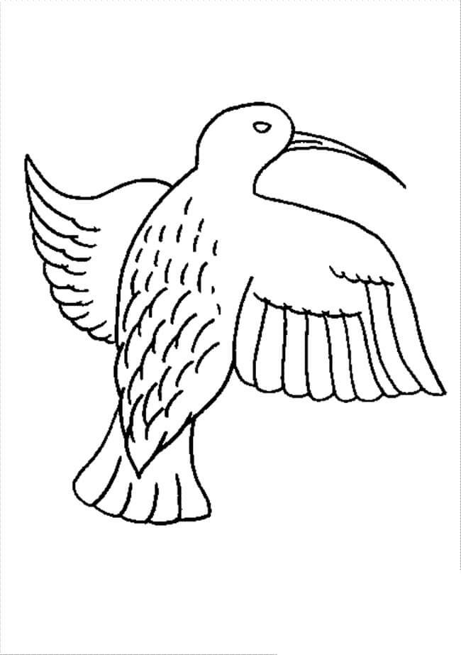 Dibujo de Bonito Colibri para Colorear