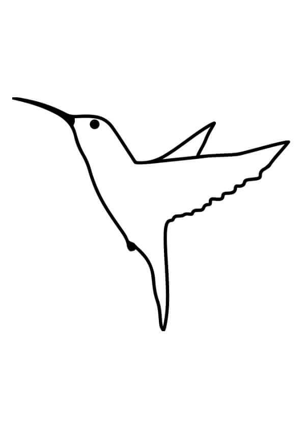 Dibujo de Colibri fácil para Colorear