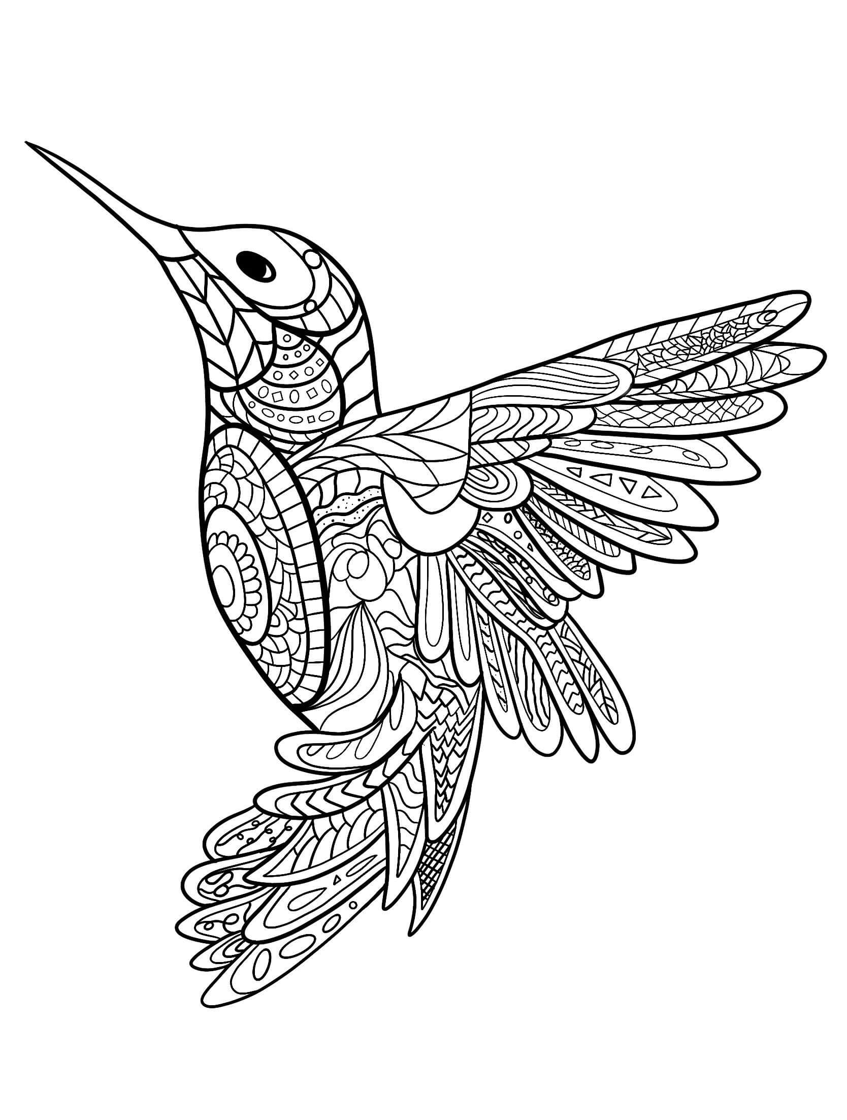 Dibujo de Colibri Mandala para Colorear