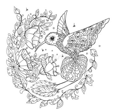 Dibujo de Colibri Zentangle para Colorear